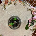 Μετρητό κέντημα καρέ παπαρούνες 1.00 *1.00