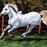 Κέντημα Gobelin 0.45 * 0.60