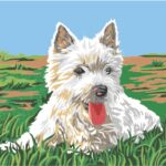 Κέντημα Gobelin 0.45 * 0.60