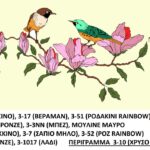 Κέντημα Κύκνος τραβέρσα 0.40 * 1.40m