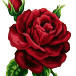 Κέντημα Gobelin 0.20 * 0.25